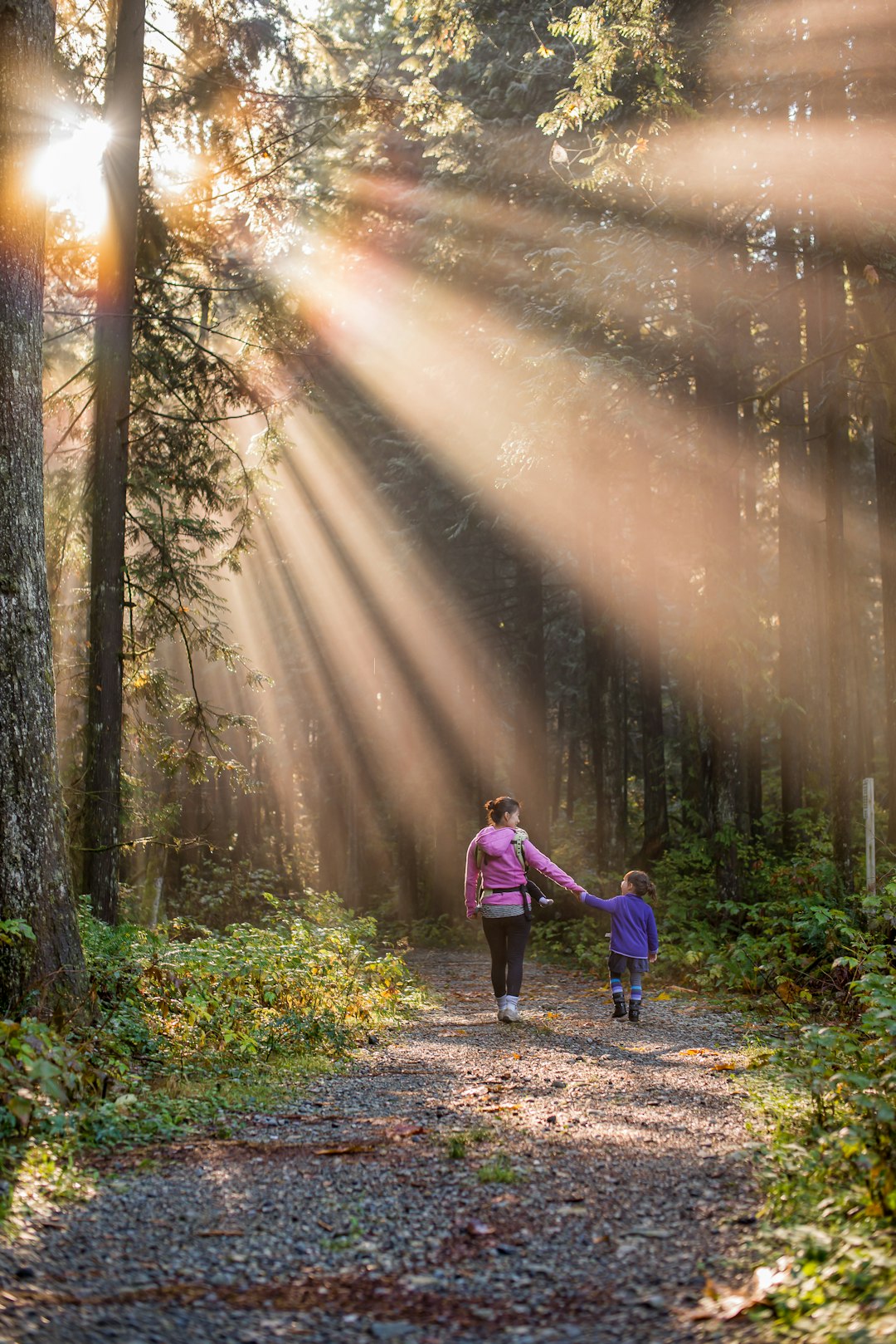Sun rays beating down on mother and daughter walking in forest by Bible Verse Daily woman walking in forest with child