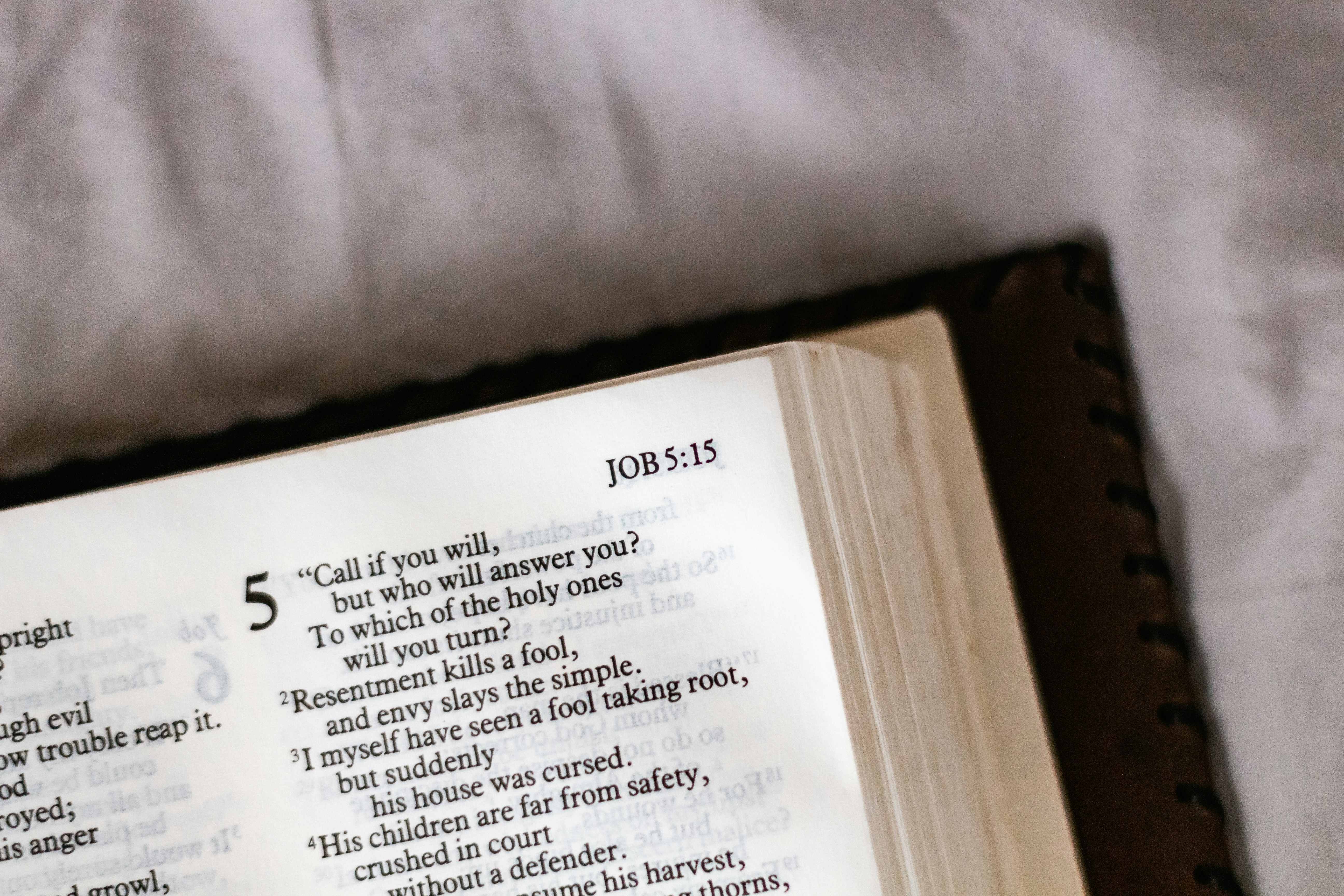 The Bible book of Job by Bible Verse Daily white printer paper on white textile