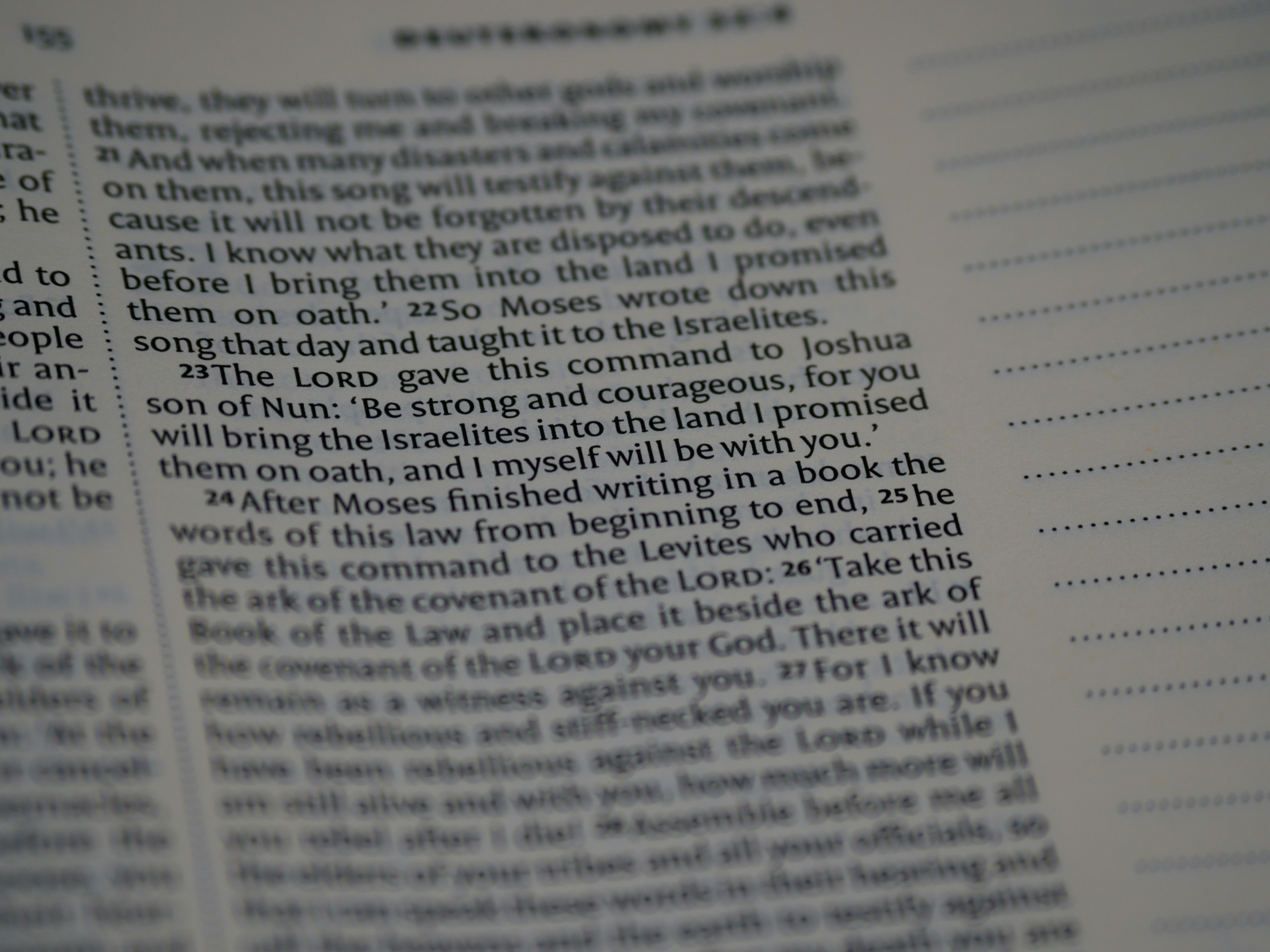 Close up, bokeh, macro, blur, blurred background, close focus, bible, old testament, deuteronomy, christian, judaism, history, text, pentateuch, reading, bible study, torah, devotions, text, NIV, New International Version, type, typography, canon, christianity, holy scripture, holy bible, scripture, book of deuteronomy, Devarim, hebrews, דברים, the words of Moses, by Bible Verse Daily text