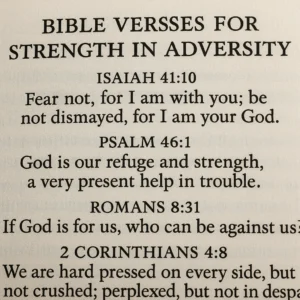 Featured image for 15 Bible Verses for Strength in Adversity Daily 2026